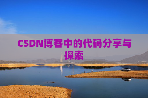 CSDN博客中的代码分享与探索